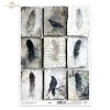 pióra, ptaki, kruki, gawrony, stare papiery, manuskrypty, styl vintage, grunge*feathers, birds, ravens, crows, old paper, manuscripts, vintage style, grunge